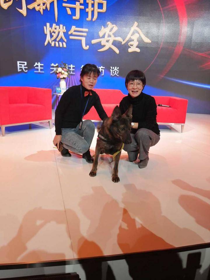 齐鲁晚报网-山东新闻门户 传播品质资讯